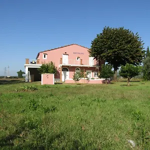 Podere Ricciolino Alloggio per agriturismo Castagneto Carducci